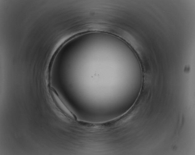 X0000096650891200802051152