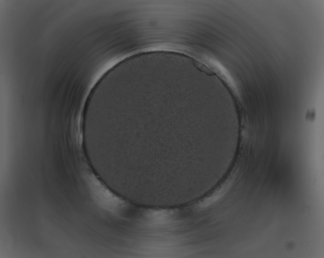 X0000096650892200802051152