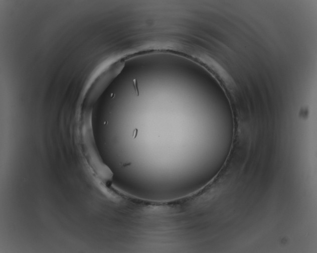 X0000096650894200802051152