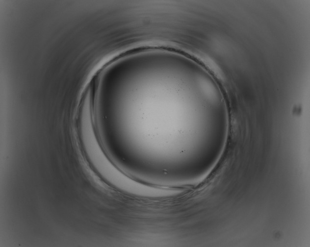 X0000096650895200802051152