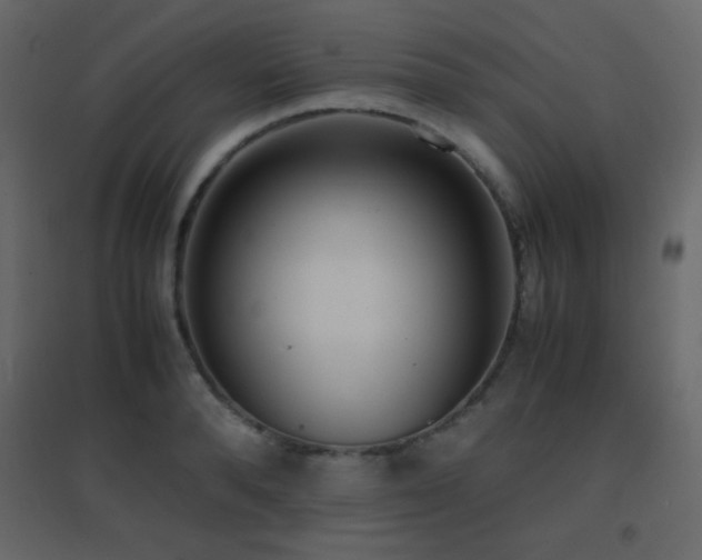 X0000096650896200802051152