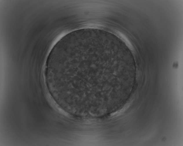 X0000096650899200802051152