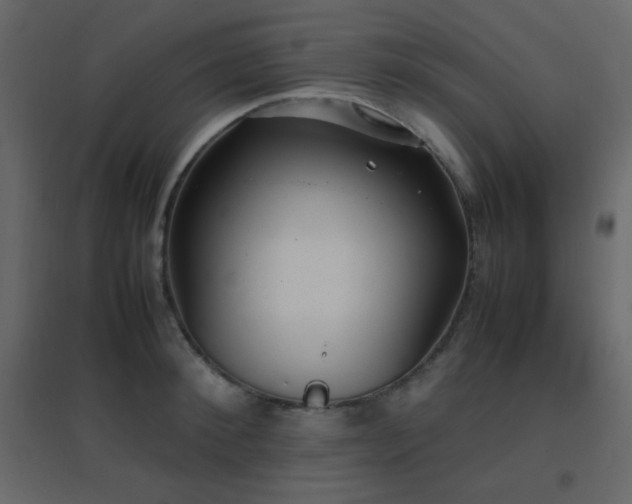 X0000096650900200802051152