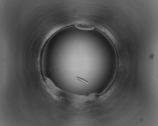 X0000096650902200802051152