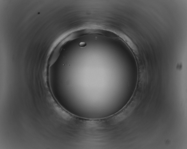 X0000096650904200802051152