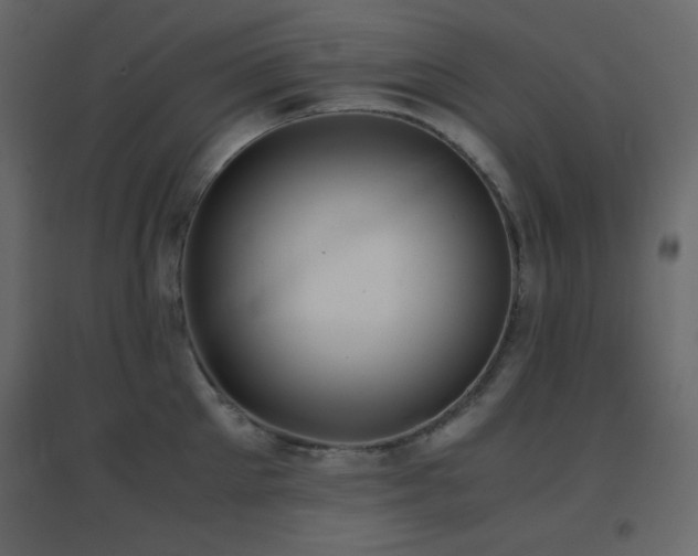 X0000096650905200802051152