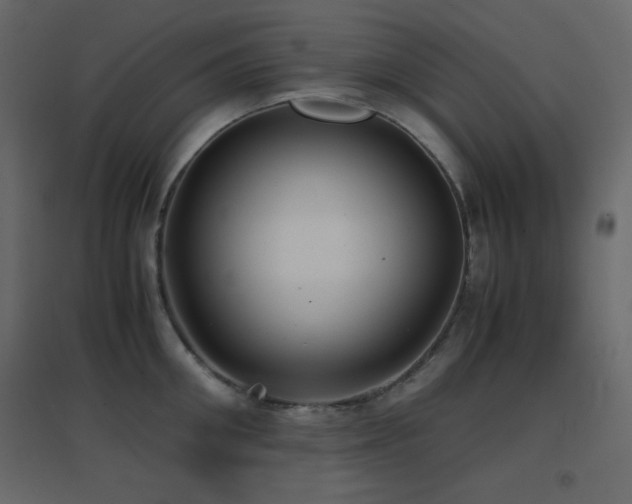 X0000096650906200802051152