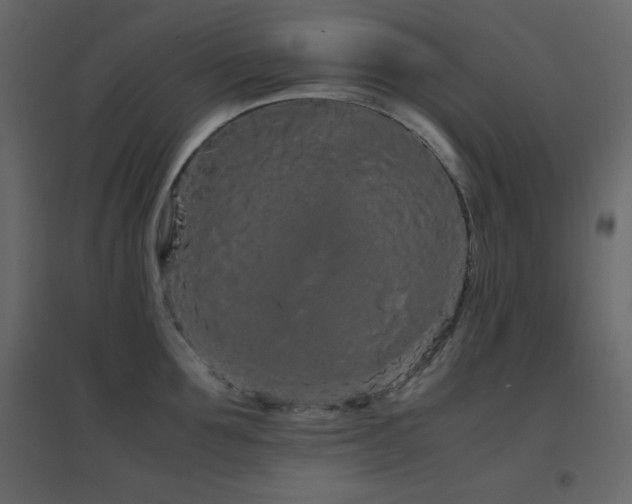X0000096650907200802051152