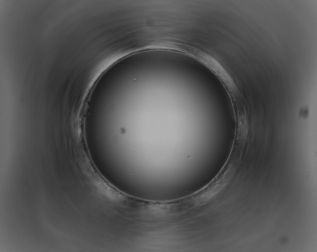 X0000096650908200802051152