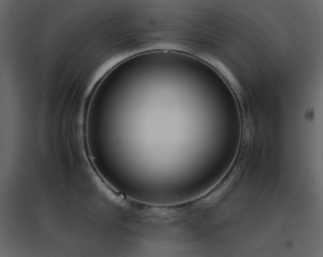 X0000096650910200802051152