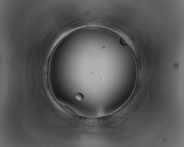 X0000096650911200802051152