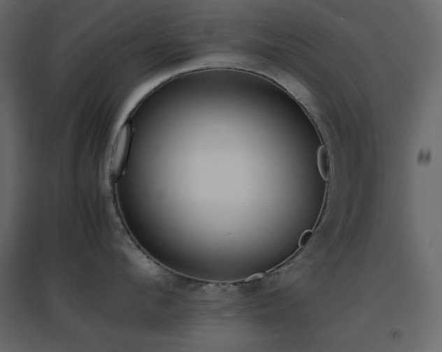 X0000096650912200802051152