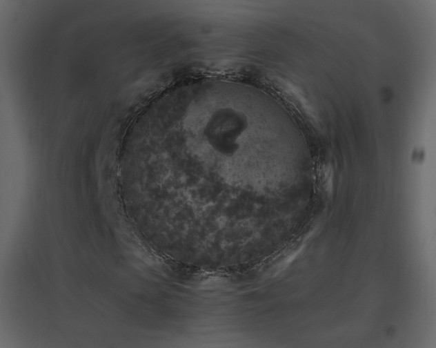 X0000096650913200802051151