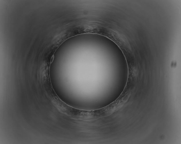 X0000096650914200802051151