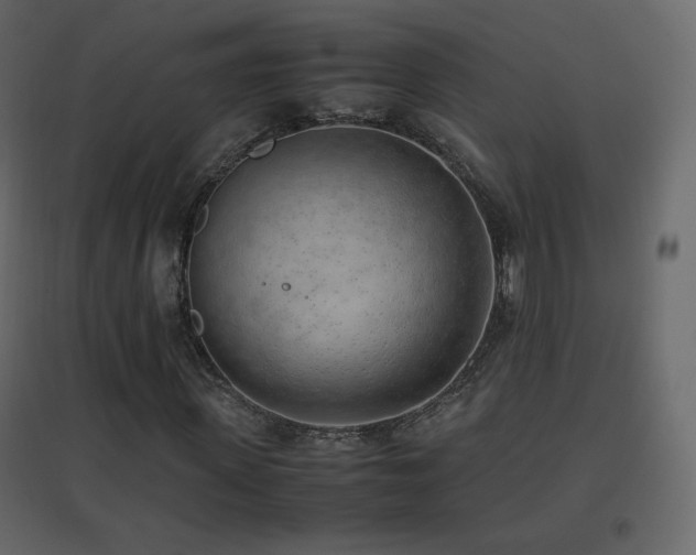 X0000096650915200802051151