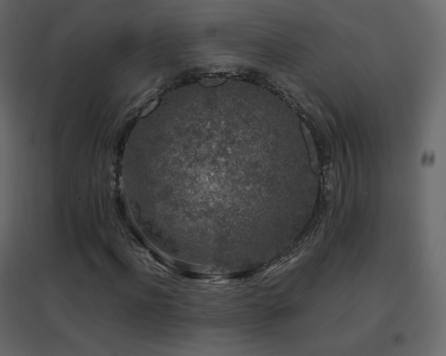 X0000096650916200802051151