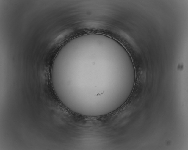 X0000096650918200802051151