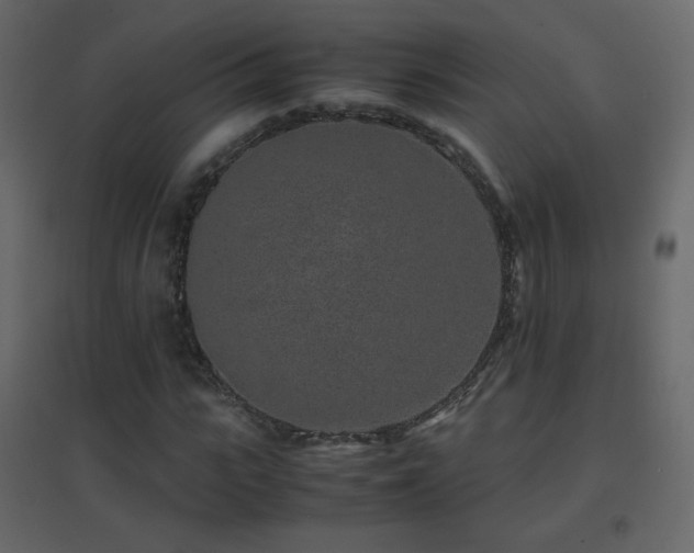 X0000096650919200802051151