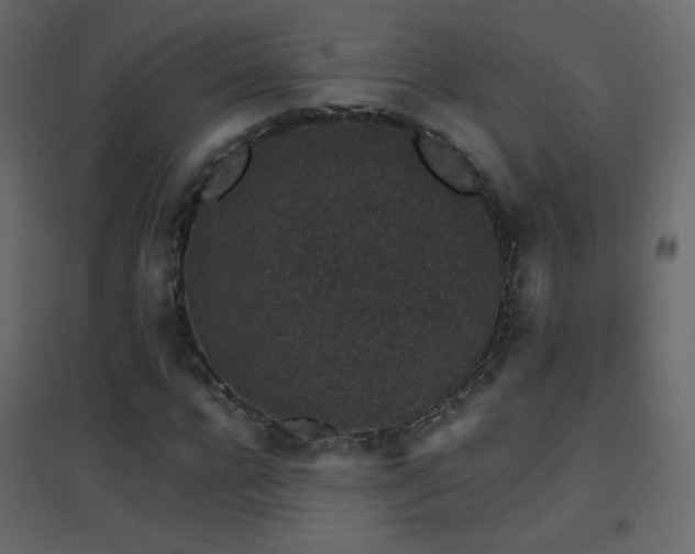 X0000096650920200802051151