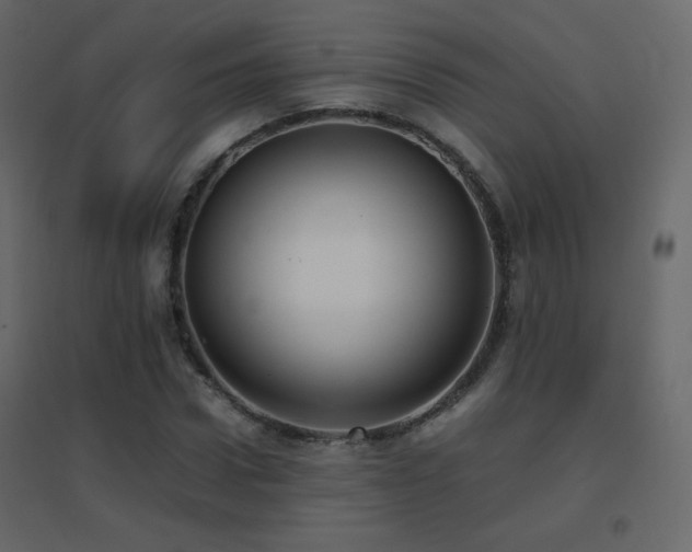 X0000096650922200802051151
