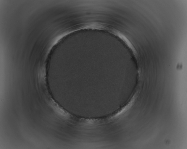 X0000096650923200802051151