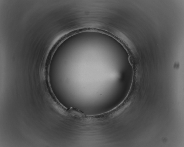 X0000096650924200802051151