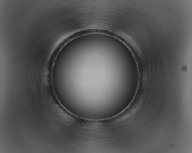 X0000096650926200802051151