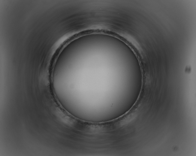 X0000096650927200802051151