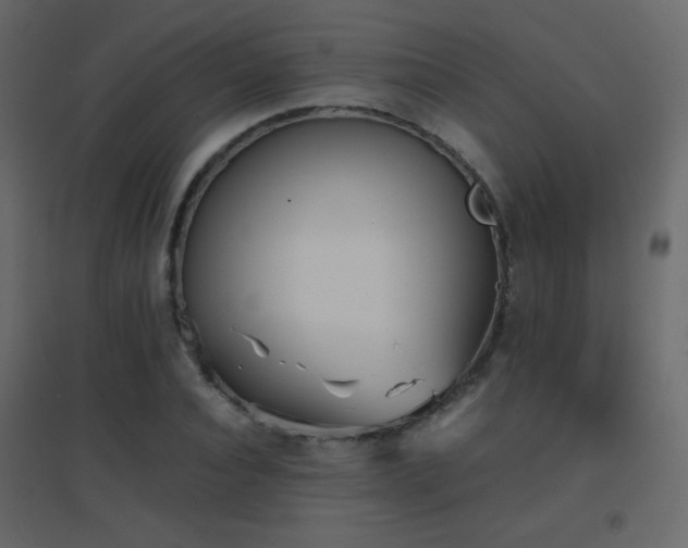 X0000096650928200802051151