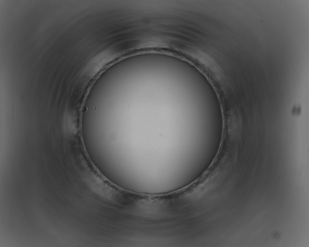 X0000096650929200802051151