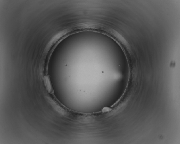 X0000096650930200802051151