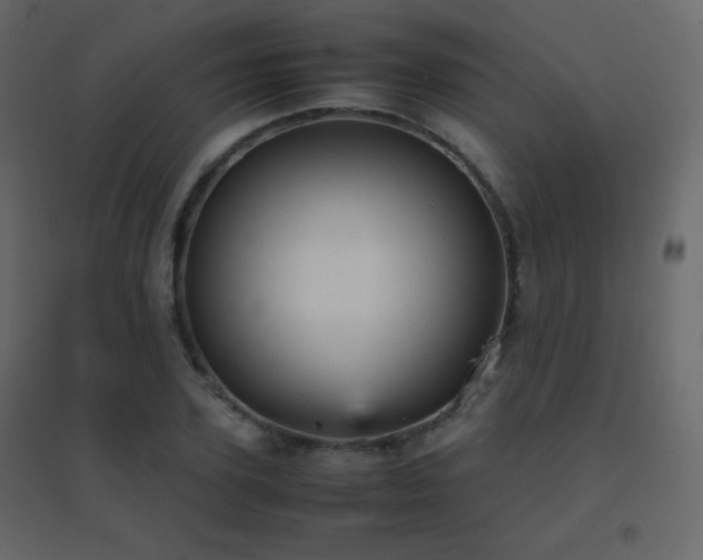 X0000096650931200802051151
