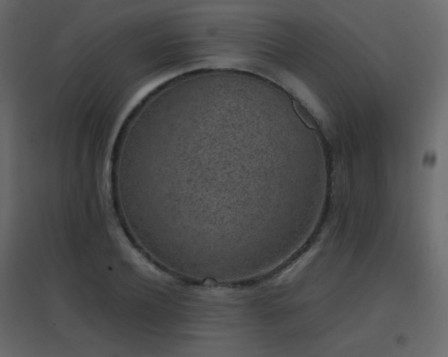 X0000096650932200802051151