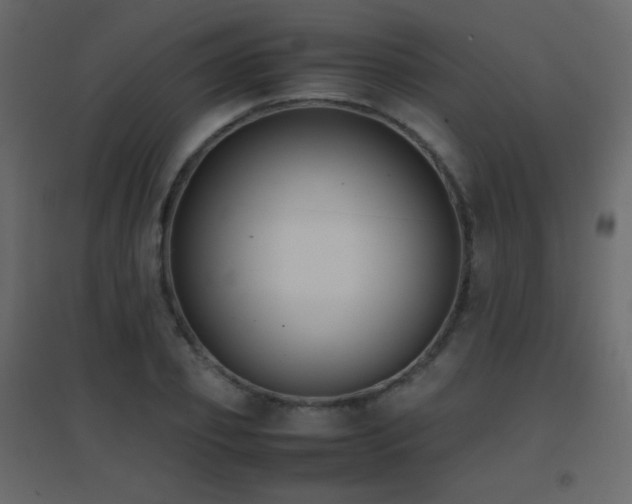 X0000096650933200802051151