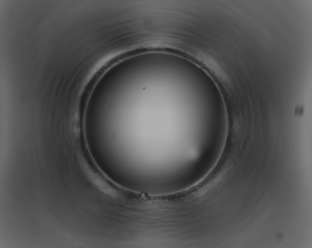 X0000096650934200802051151