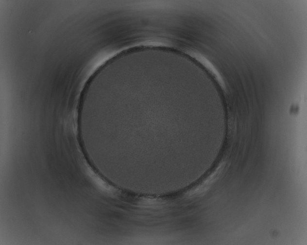 X0000096650935200802051151