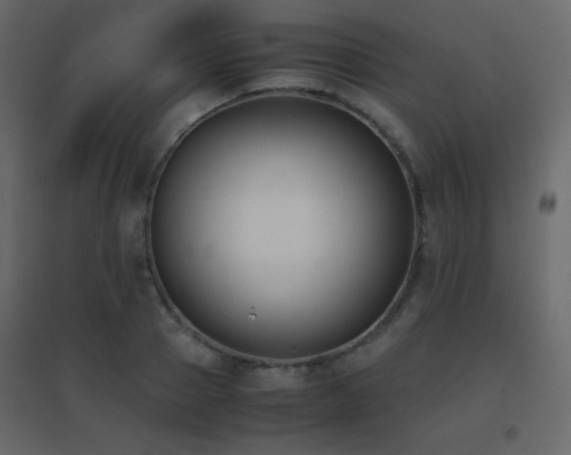 X0000096650937200802051151