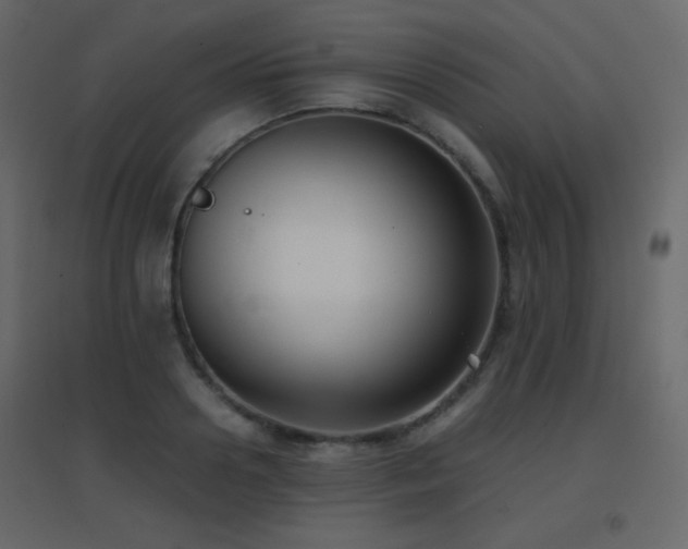 X0000096650938200802051151