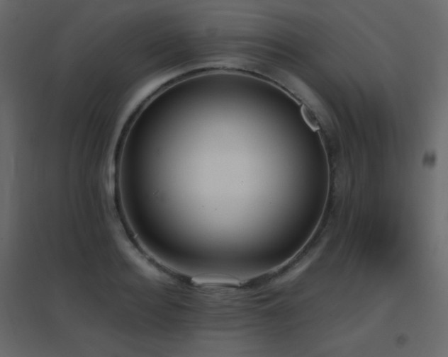 X0000096650940200802051151