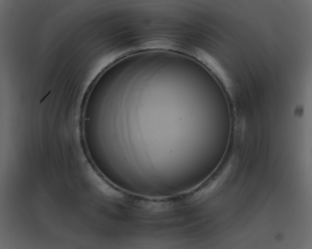 X0000096650941200802051151