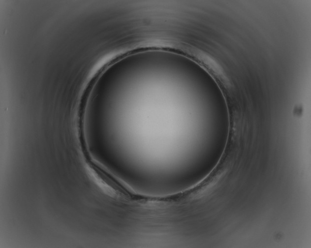 X0000096650942200802051151