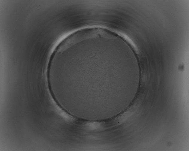X0000096650943200802051151