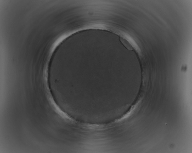 X0000096650944200802051151