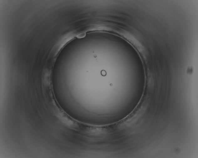 X0000096650945200802051151