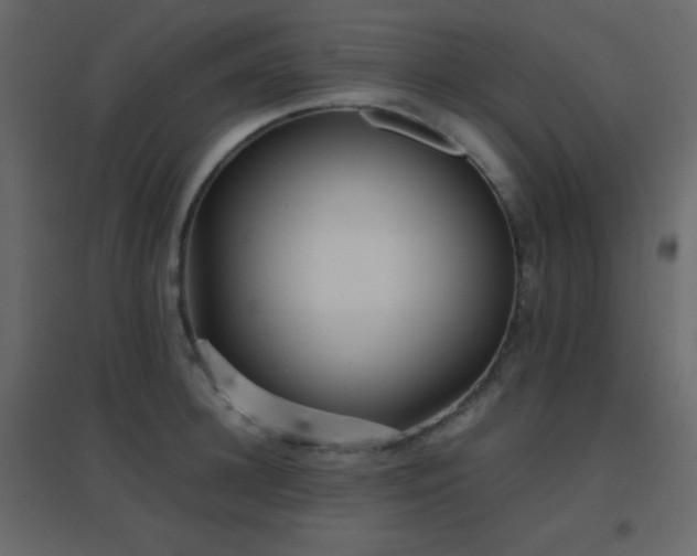 X0000096650948200802051151