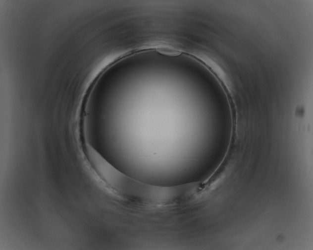 X0000096650949200802051151