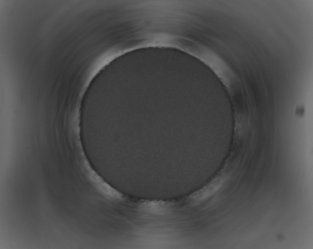X0000096650950200802051151