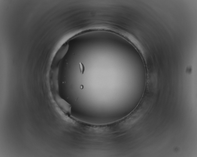 X0000096650951200802051151