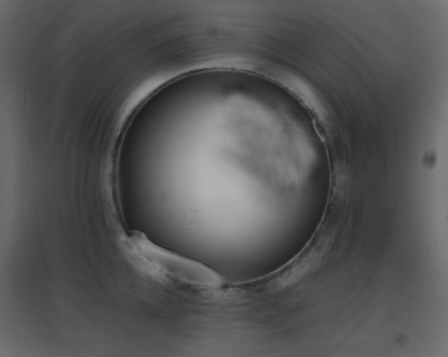 X0000096650952200802051151