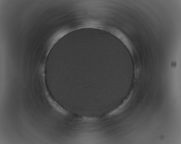 X0000096650954200802051151